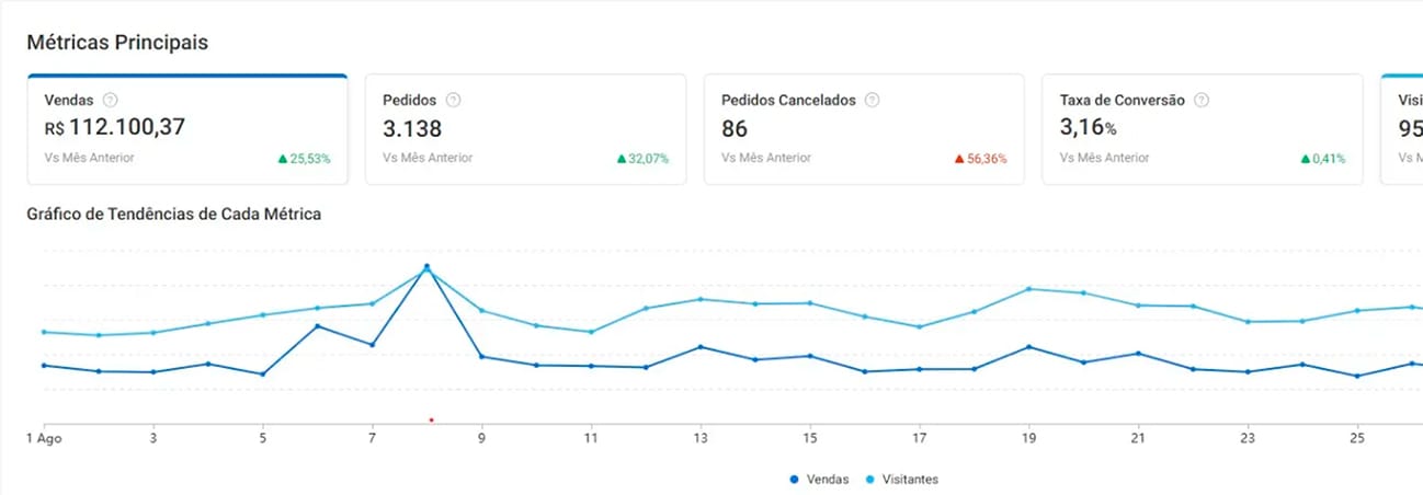 Camada 8